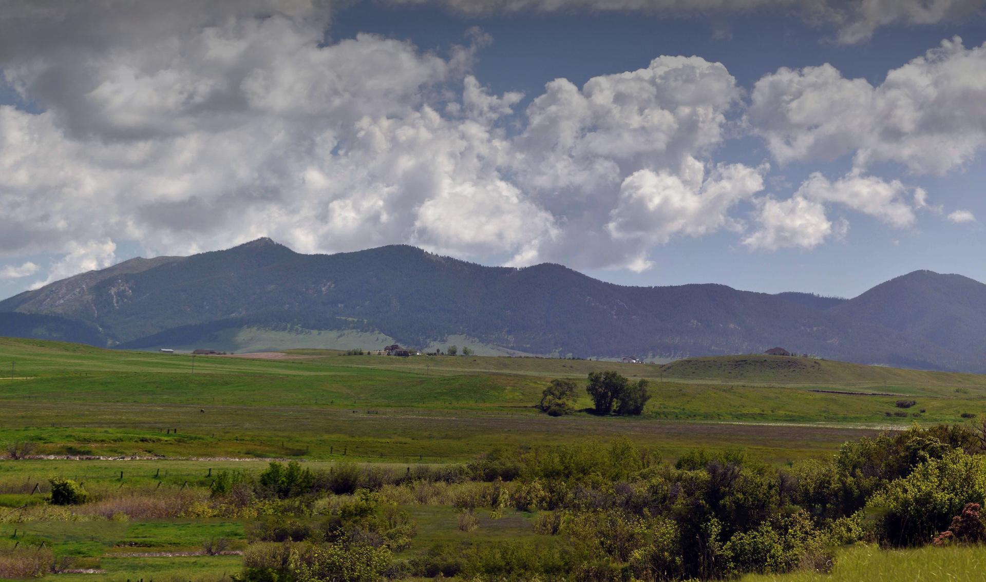 Supporting County Voices Across Montana